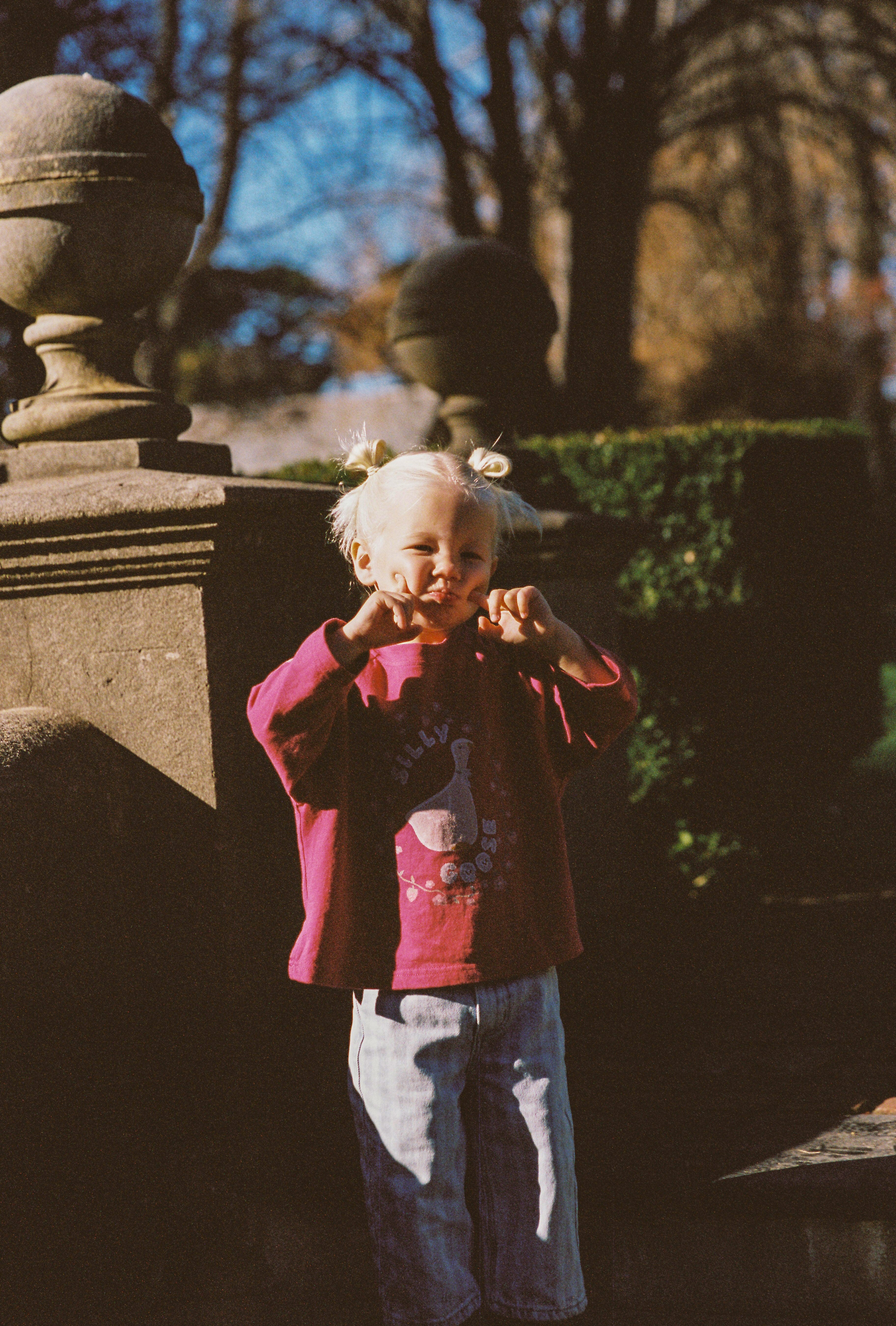 Silly Goose Tee - Pink