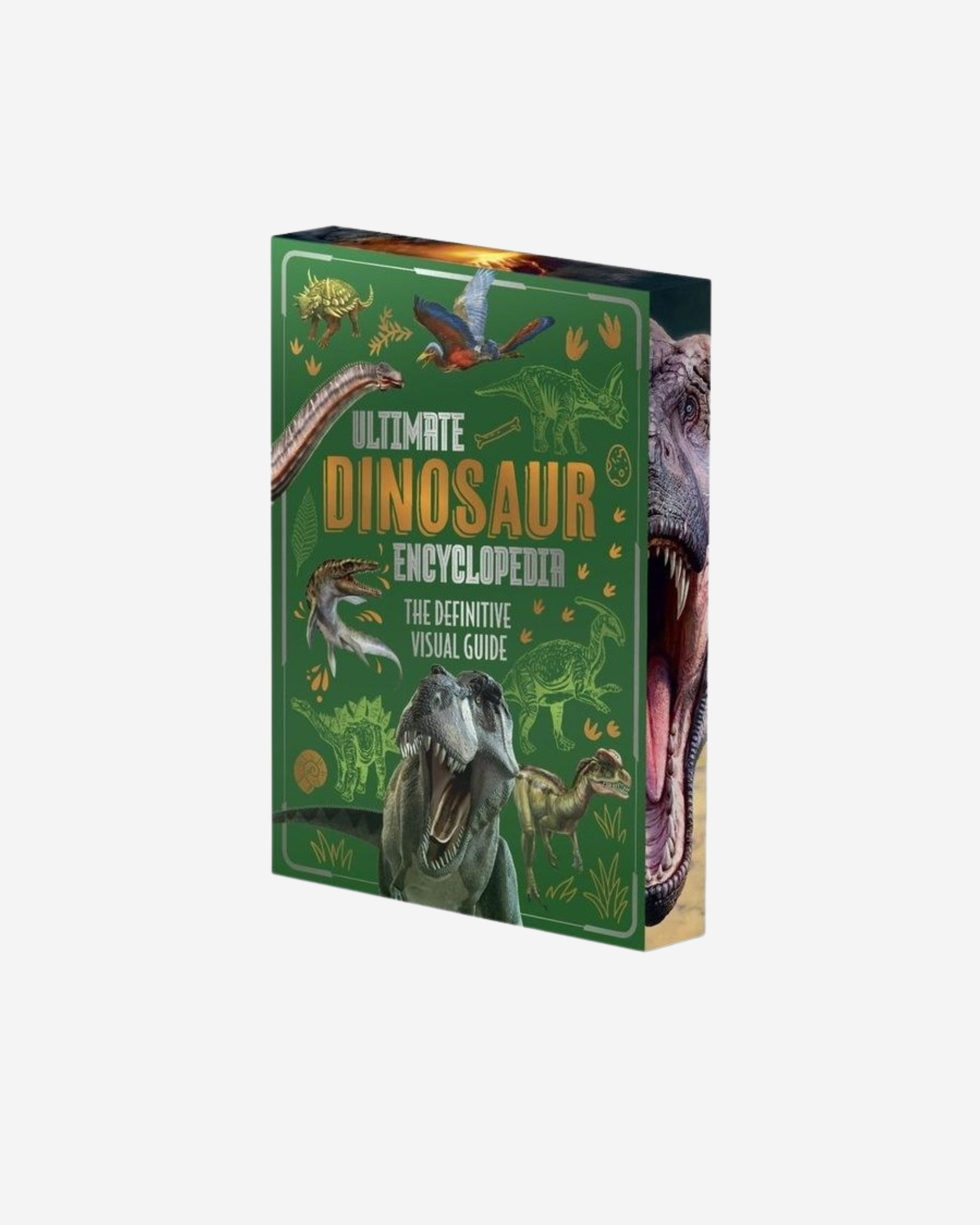 Ultimate Dinosaur Encyclopedia