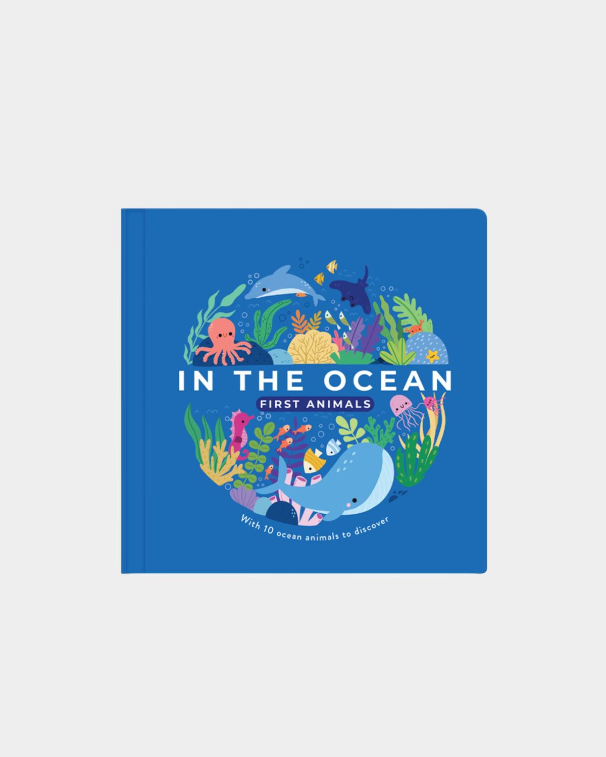 First Animals: In the Ocean