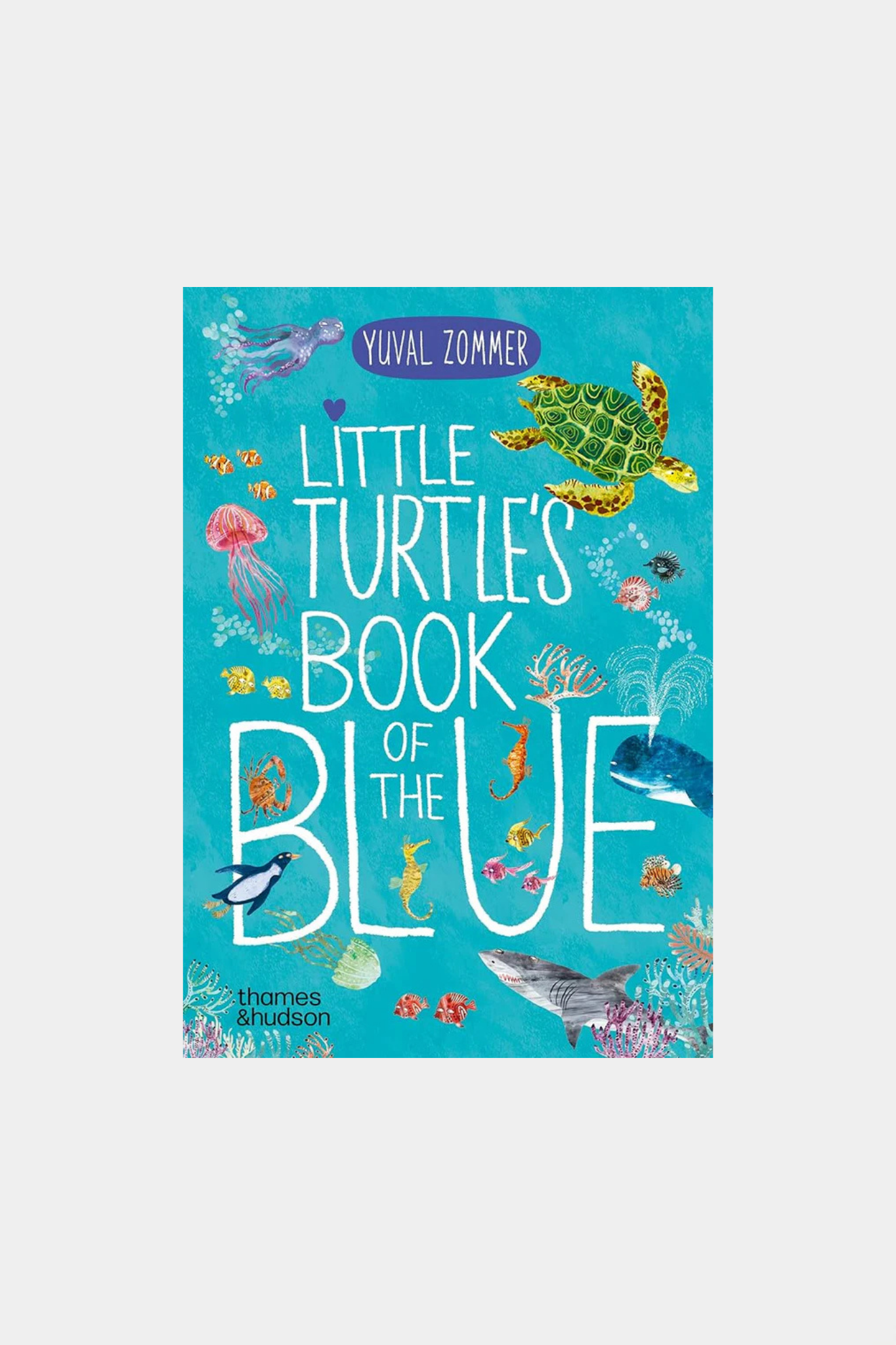 Little Turtle's Book of the Blue