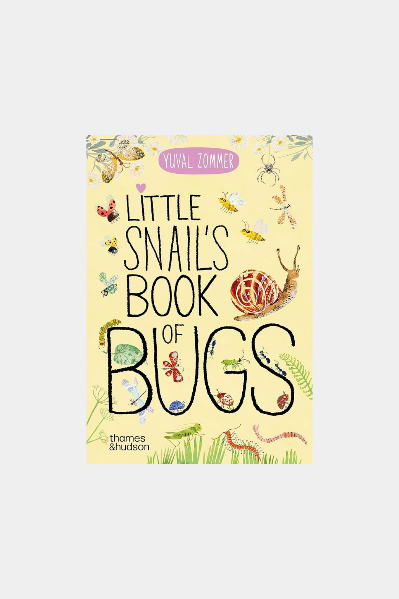 Little Snail's Book of Bugs