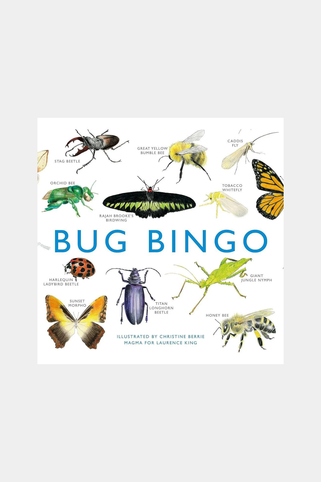 Bug Bingo
