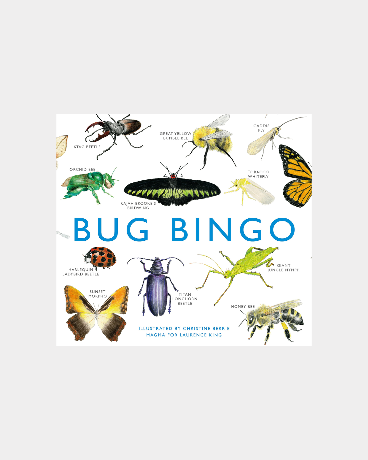 Bug Bingo