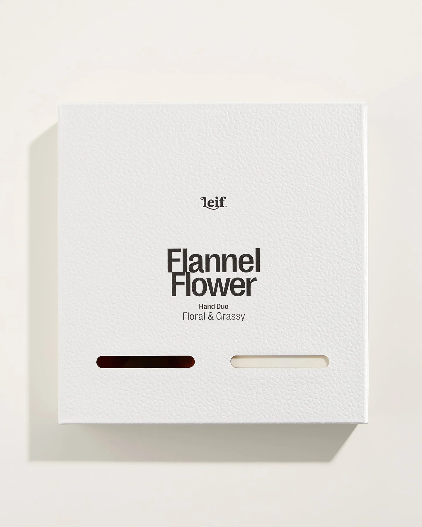 Two Hands: Flannel Flower
