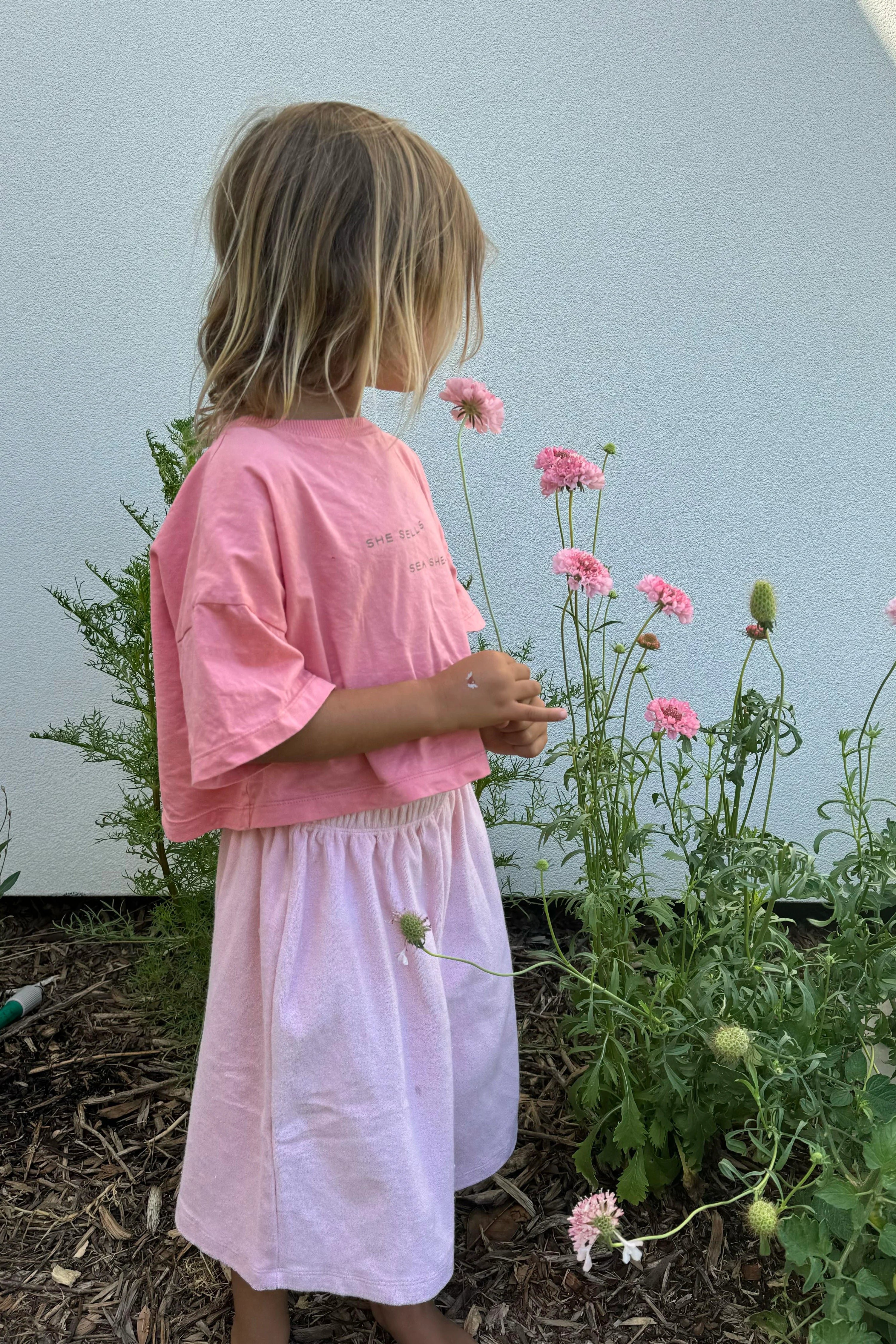 Sea Shells Crop Tee - Peony