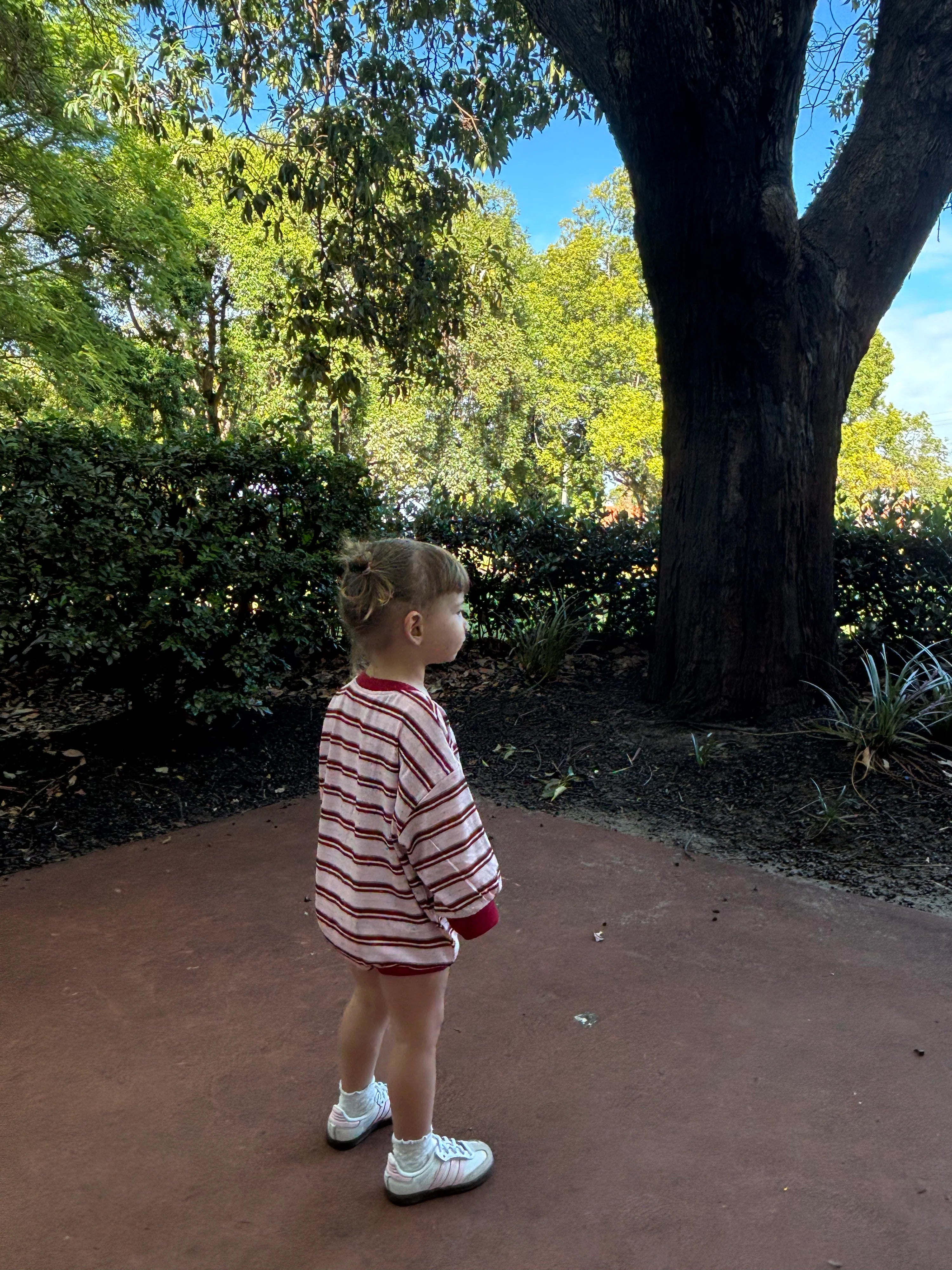 Mattie Stripe Cotton Bodysuit - Pink/Red Stripe