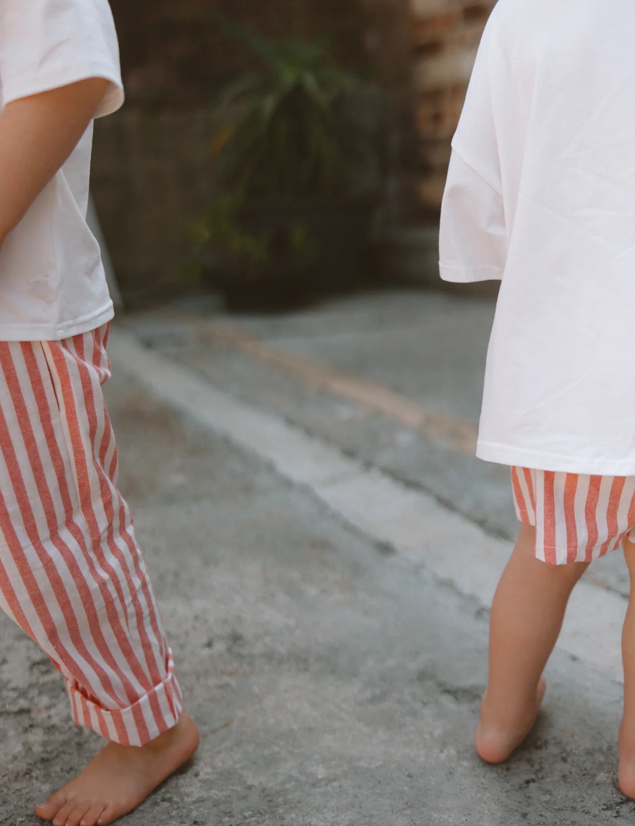 The Stripey Staple