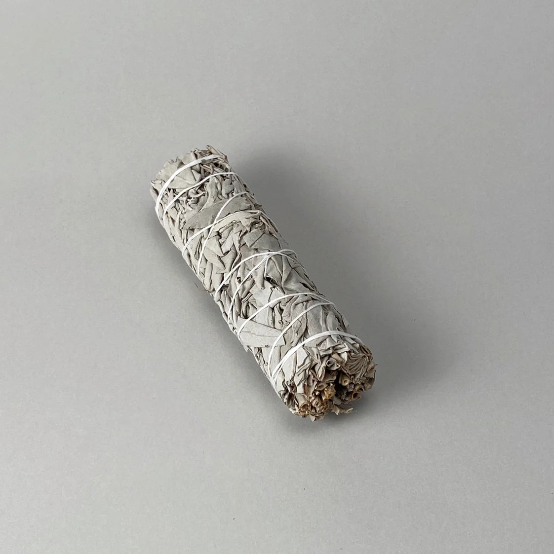 Wild White Sage Small