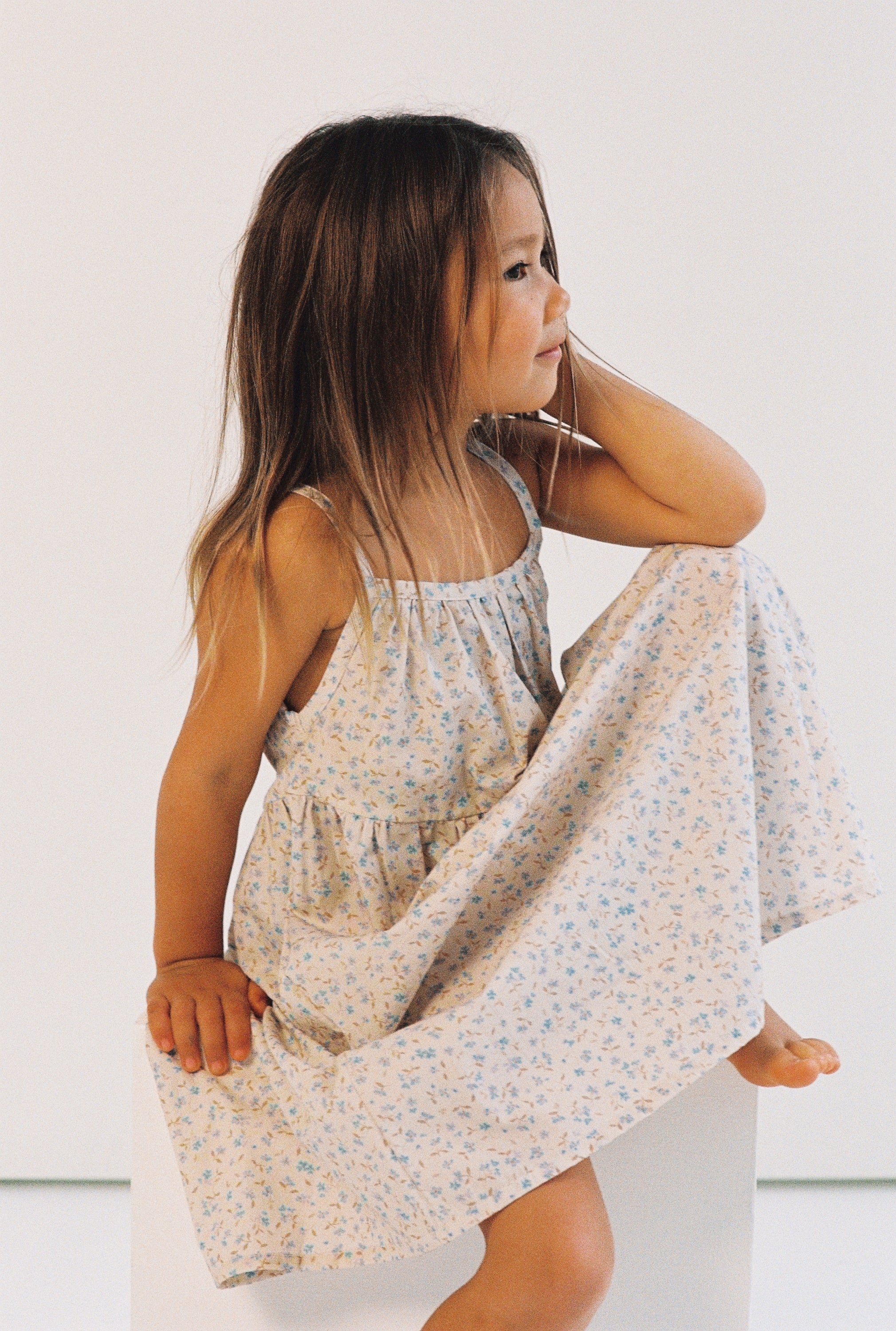 Darcy Dress - Indigo Bloom Print