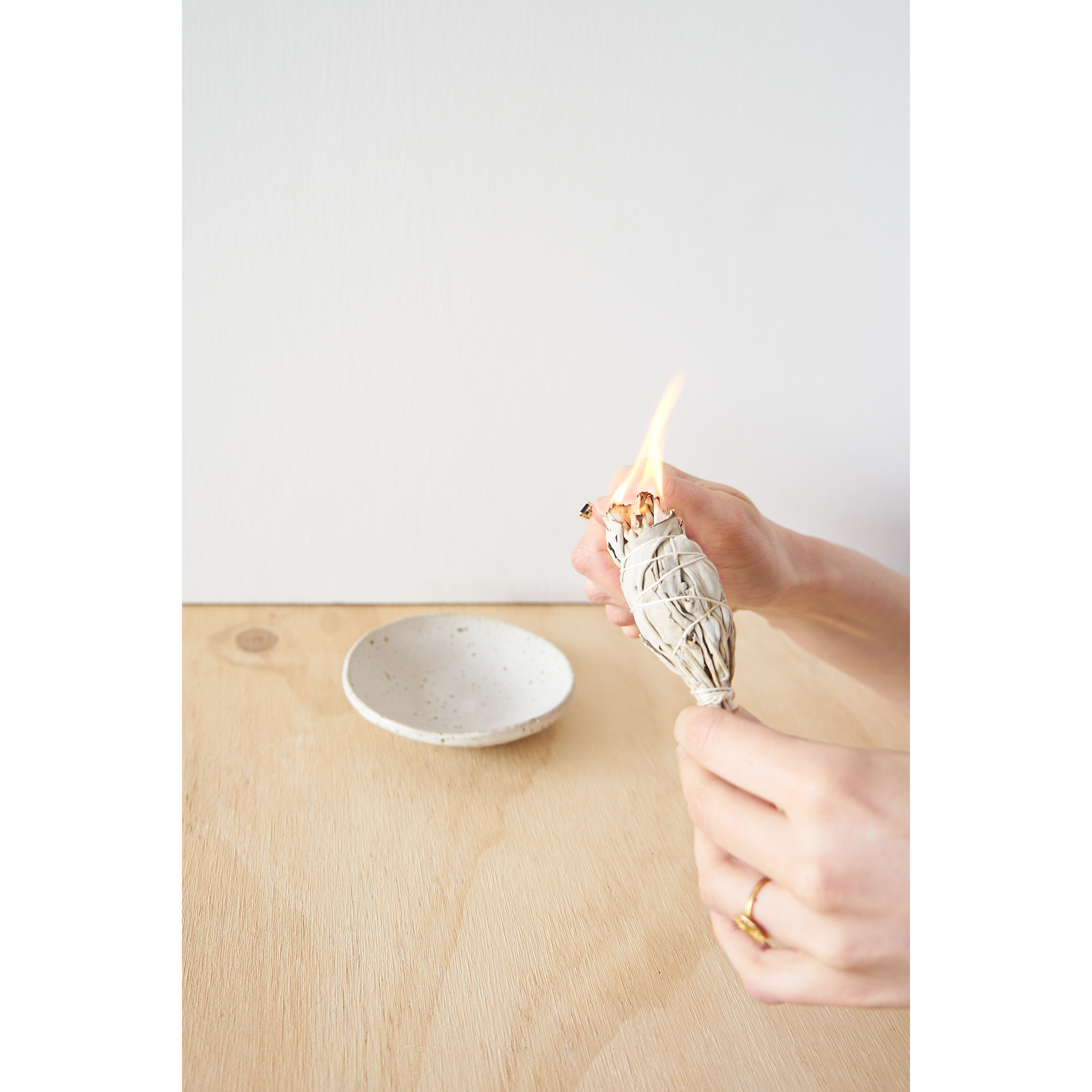 Wild White Sage Small