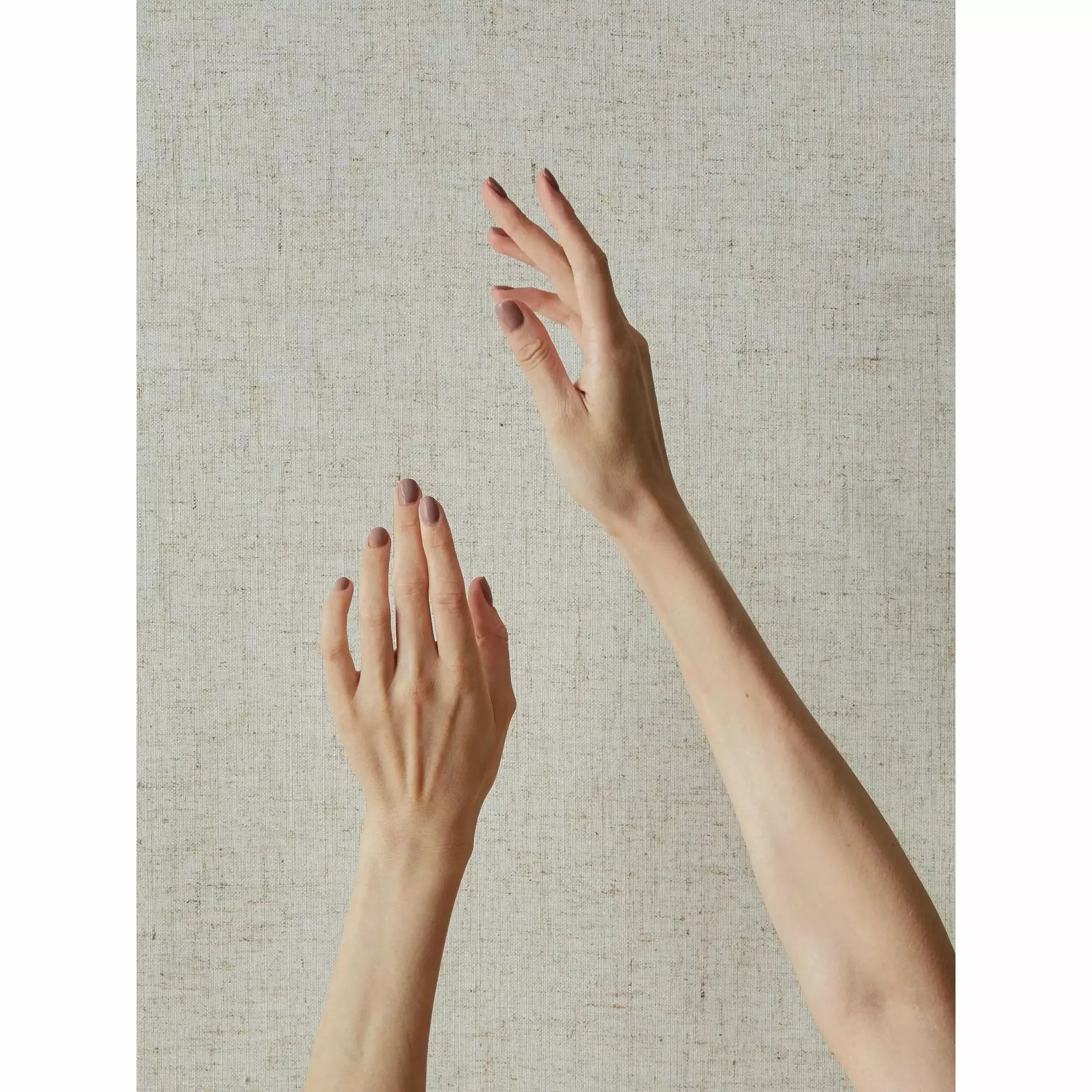Vegan Nail Polish Mauve
