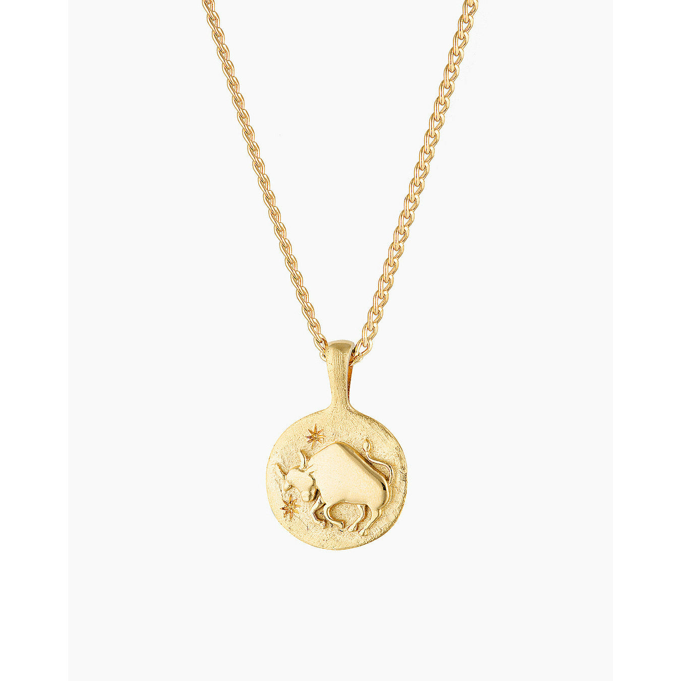 Zodiac Necklace 18inch