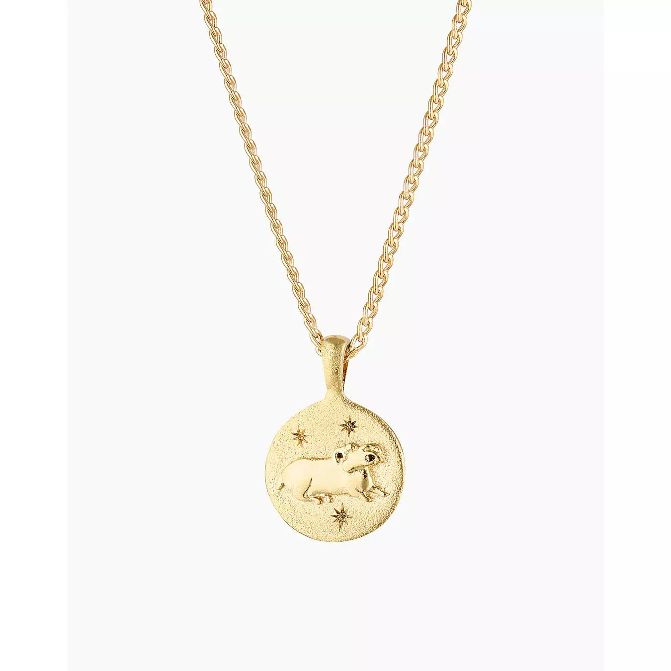 Zodiac Necklace 18inch