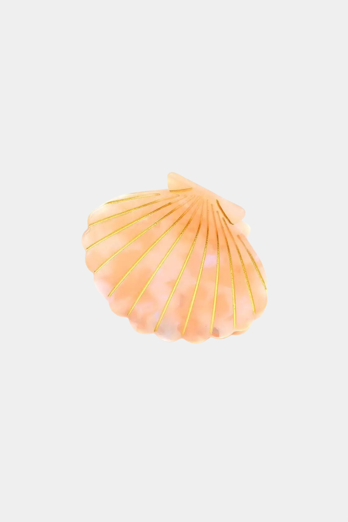 Shell Hair Claw