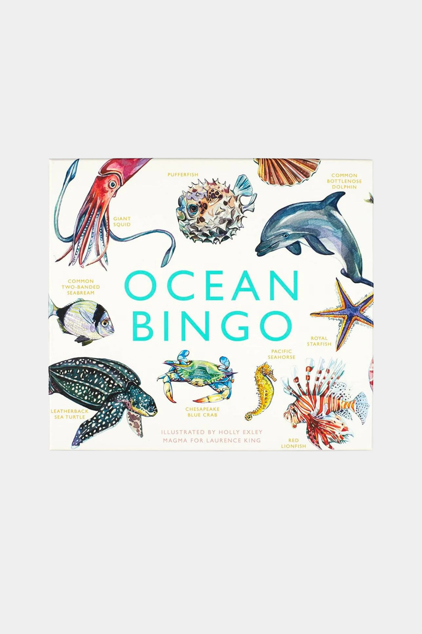 Ocean Bingo