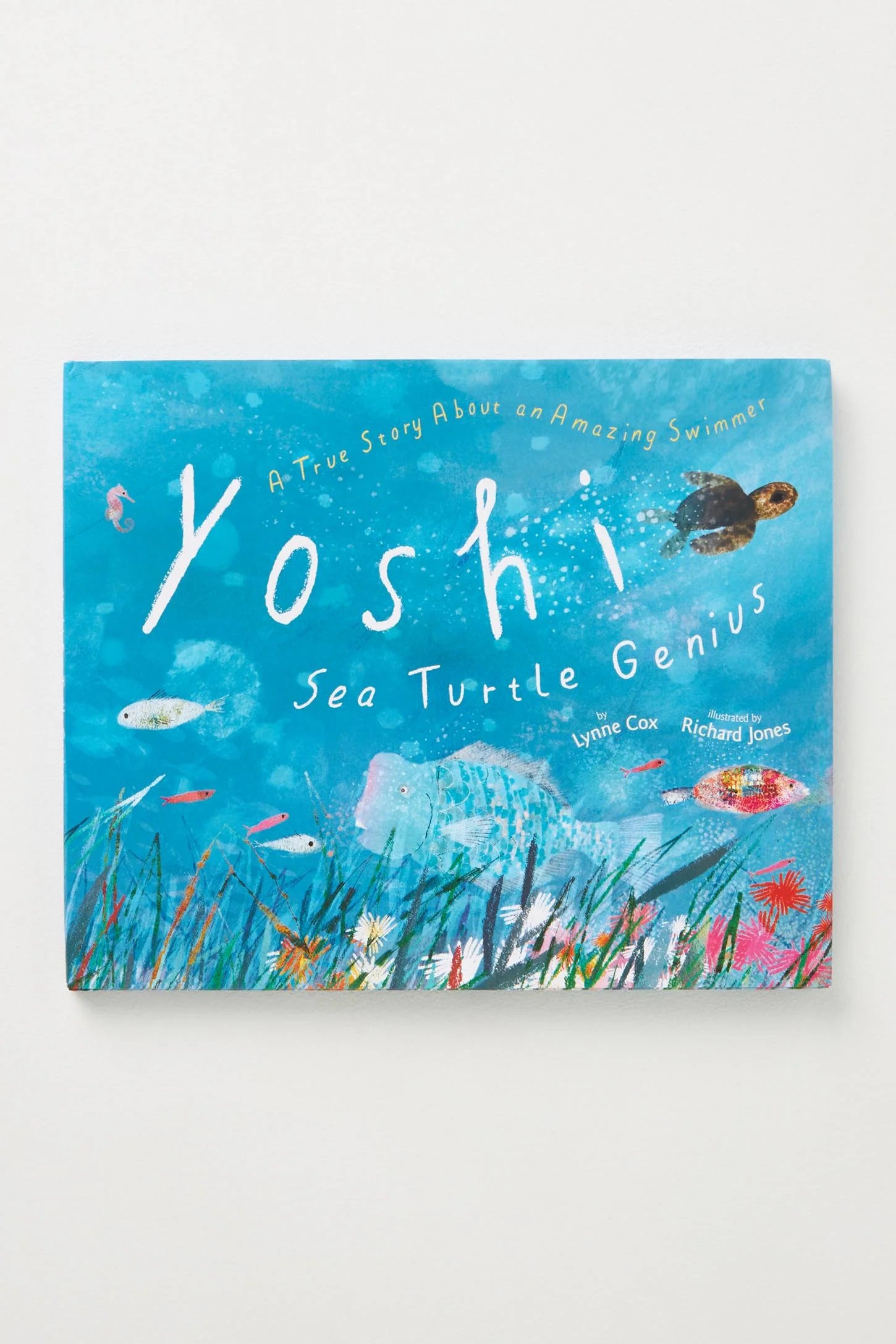 Yoshi, Sea Turtle Genius