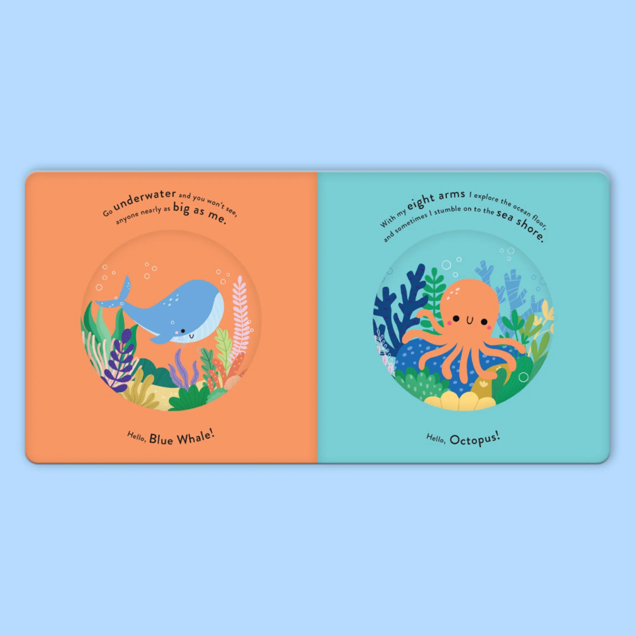 First Animals: In the Ocean