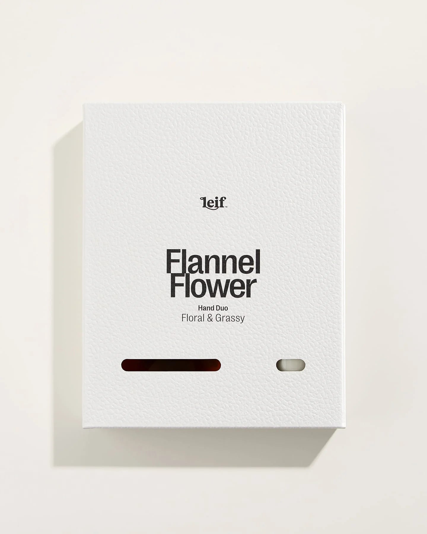 Two Hands: Flannel Flower