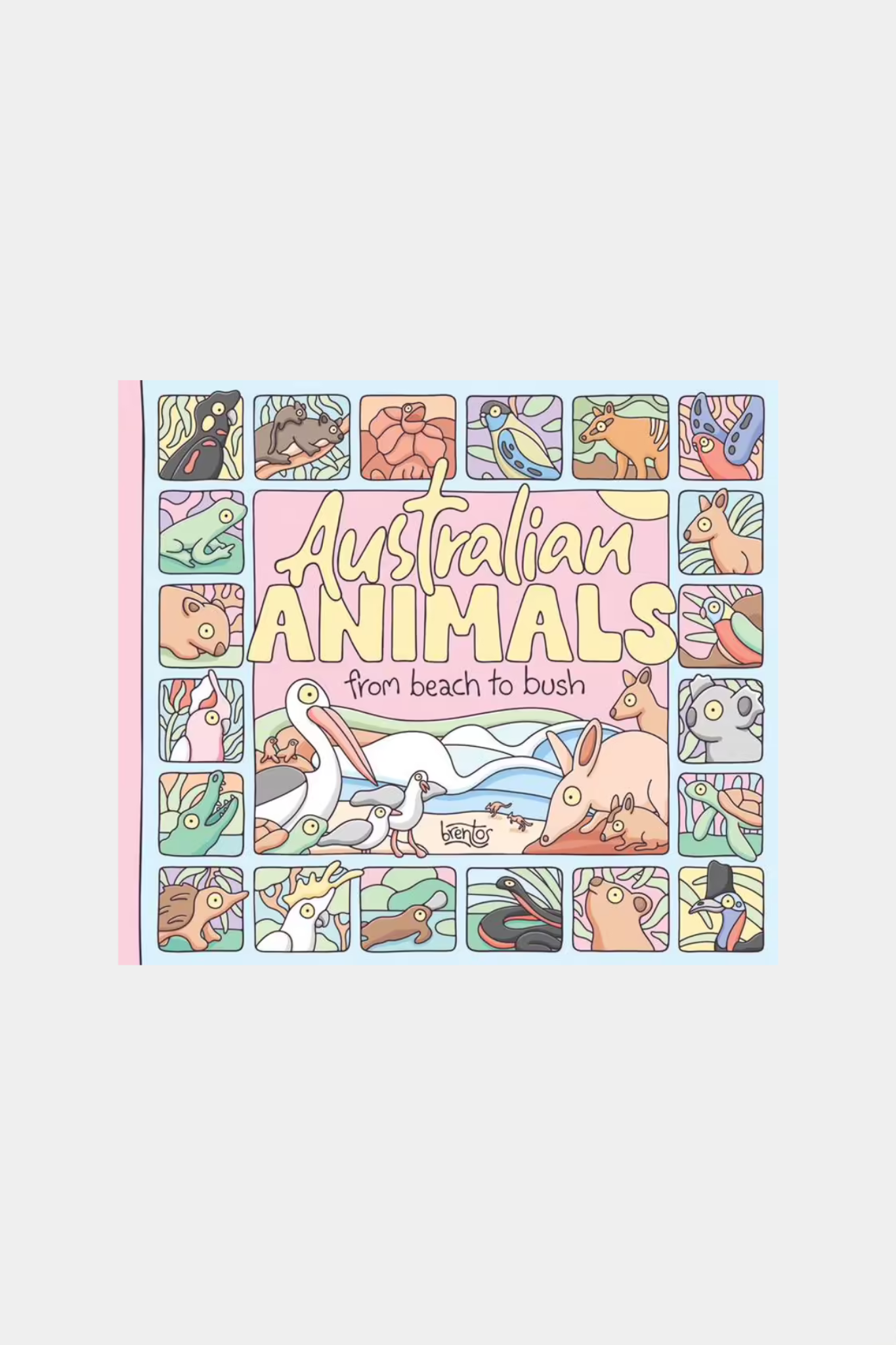 Australian Animals From Beach to Bush