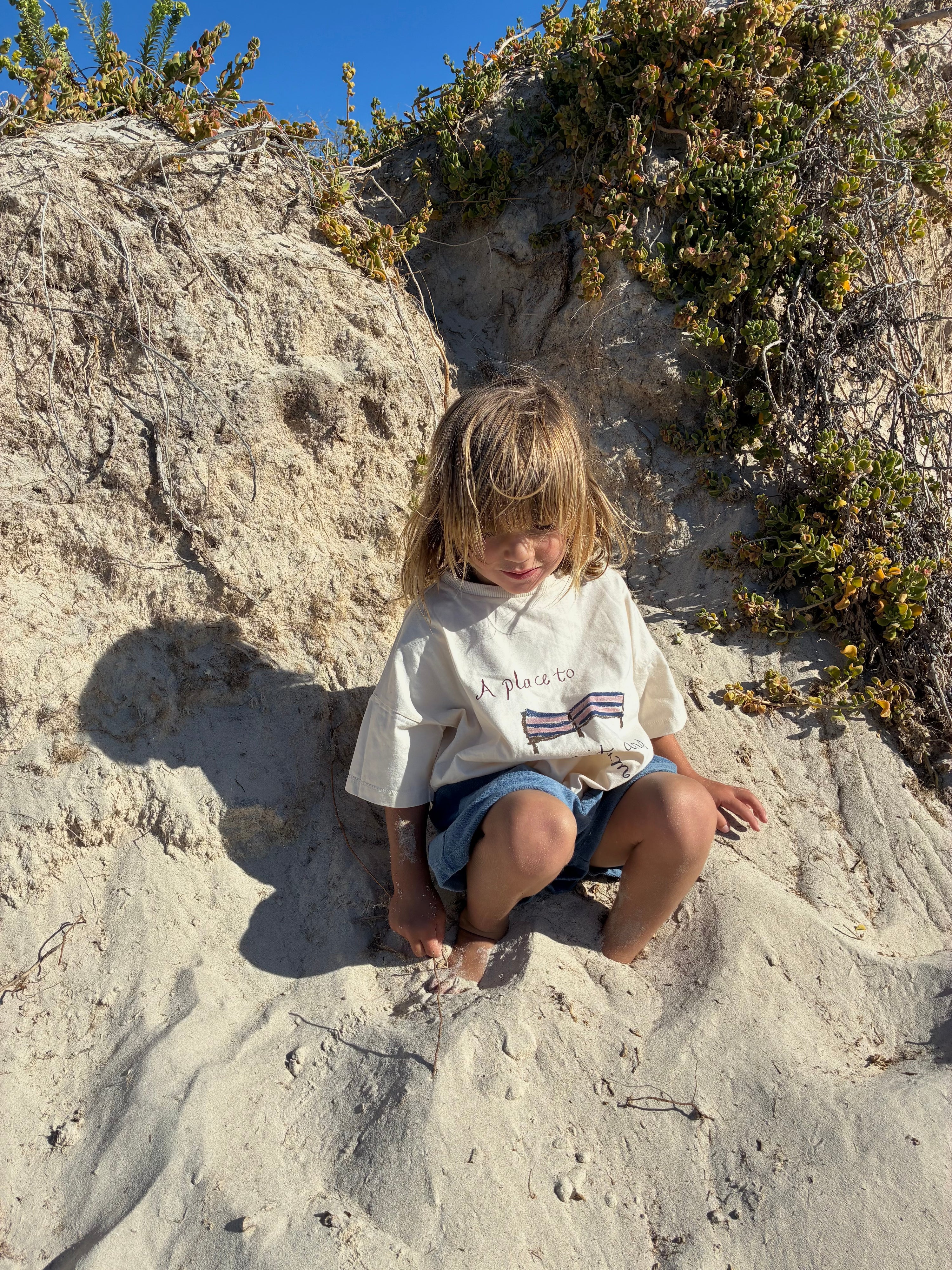 Thea Shorts - Ocean Terry