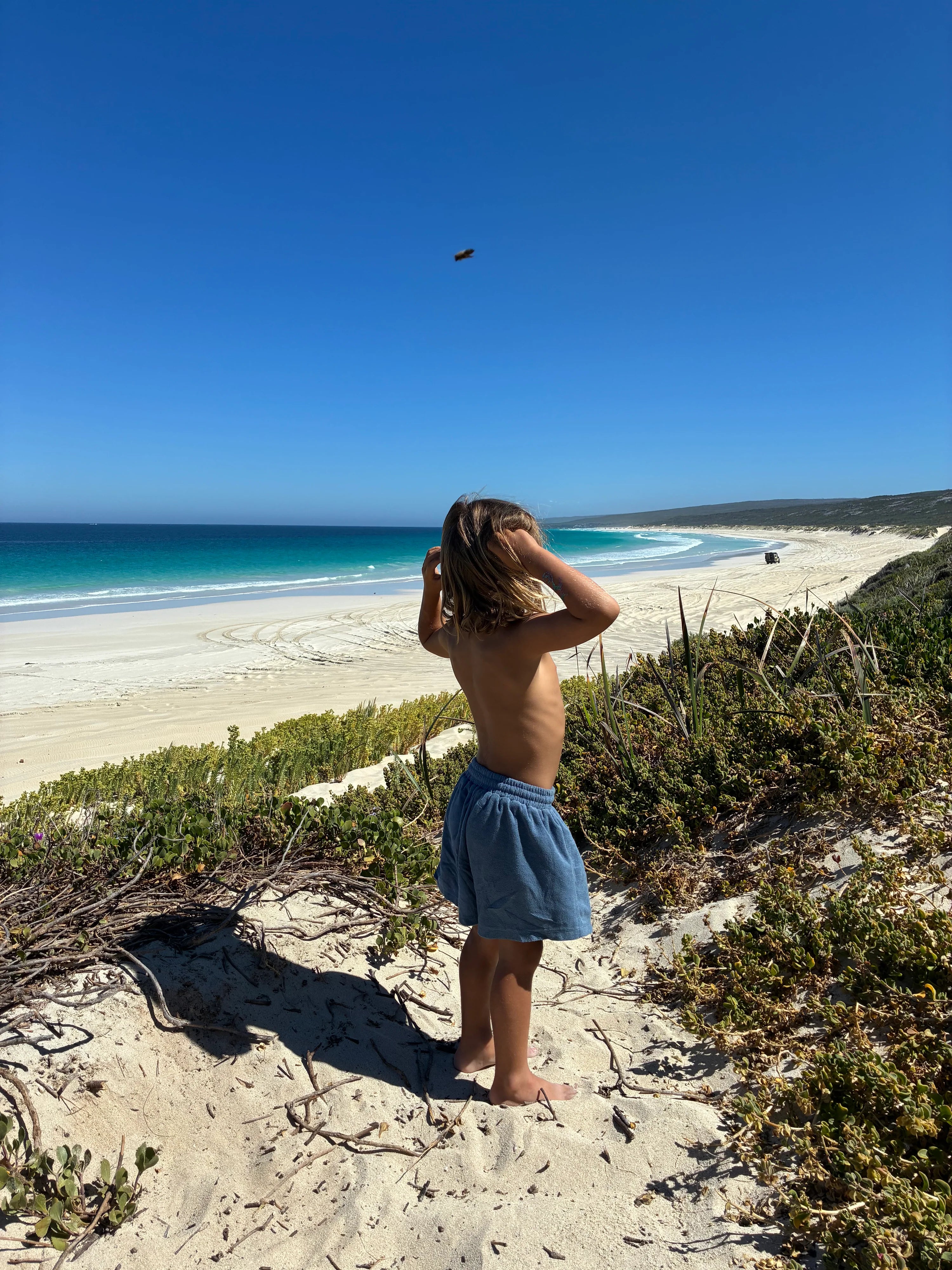 Thea Shorts - Ocean Terry