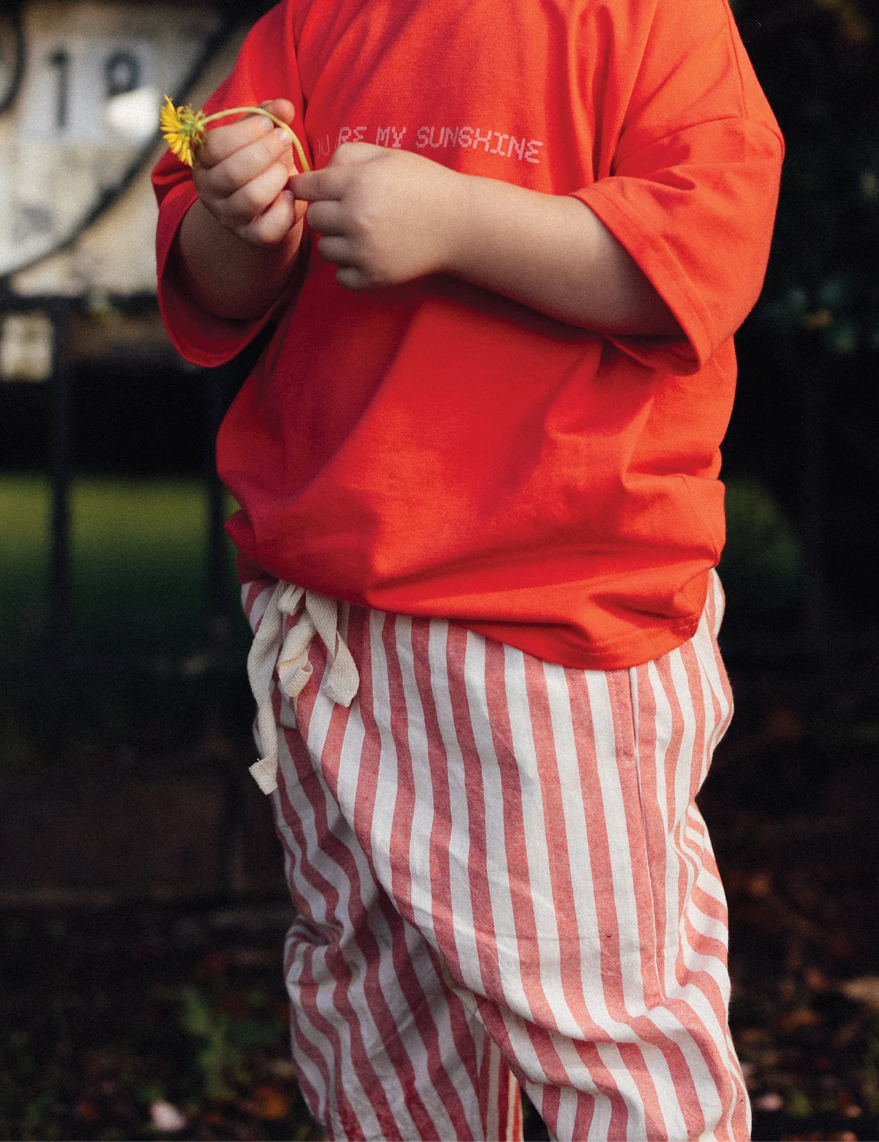 The Stripey Staple
