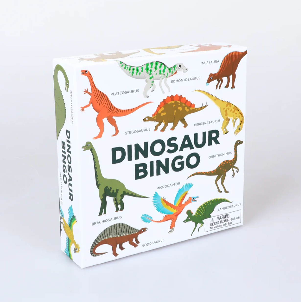 Dinosaur Bingo