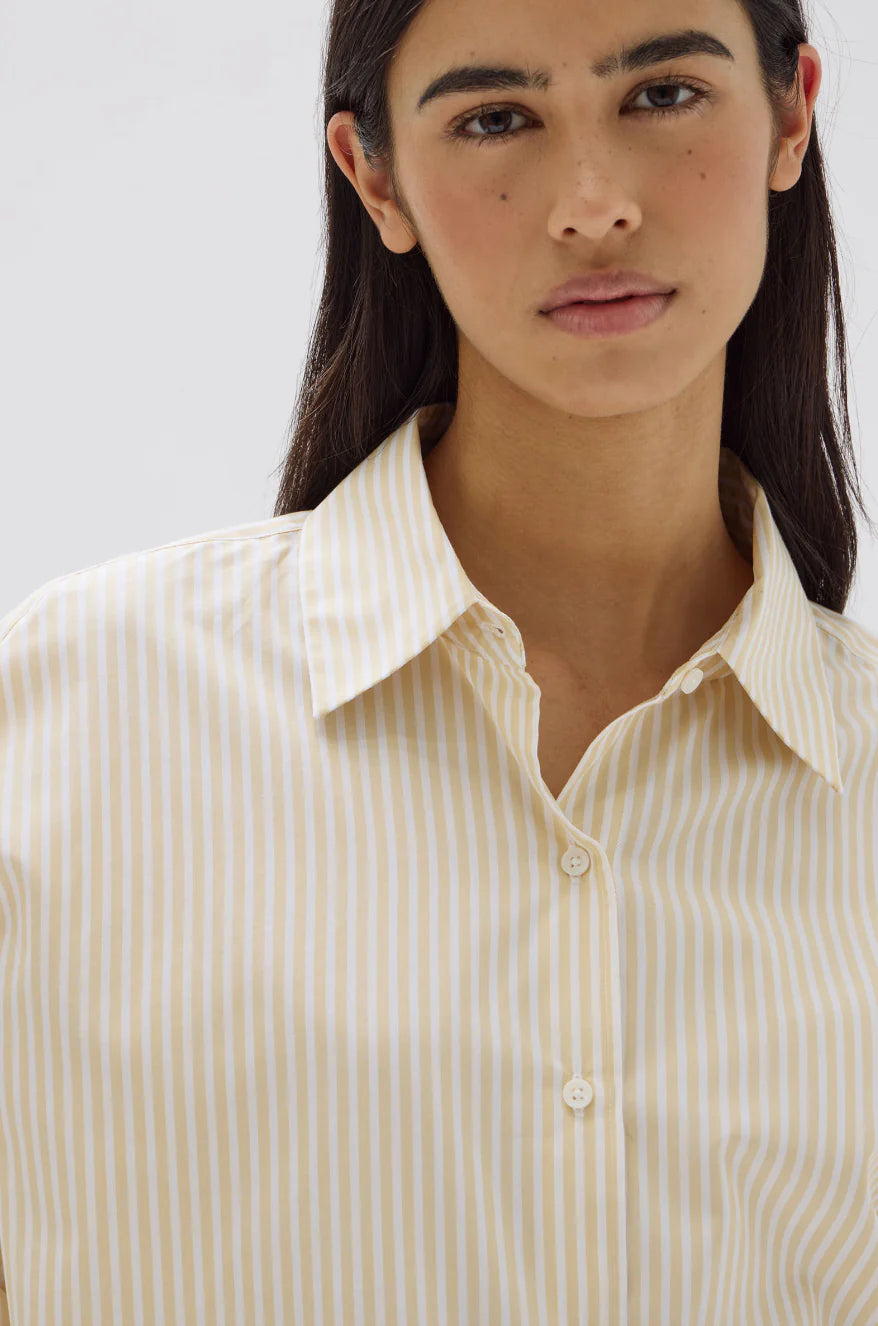 Signature Poplin Shirt - Chamomile / White