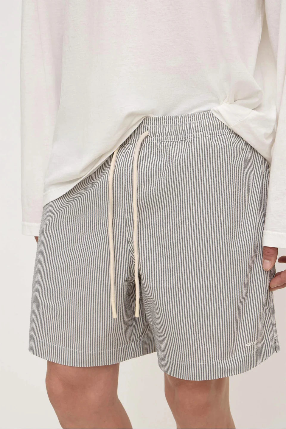 Ward Swim Short - Navy / White Stripe