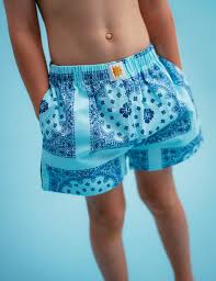 Twill Shorties - Ocean