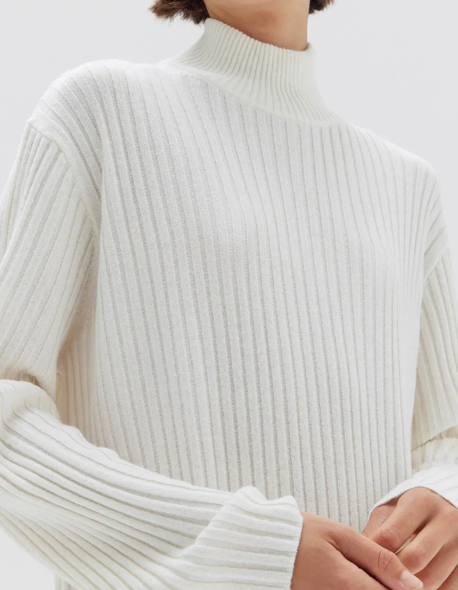 Pearl Roll Neck Knit Dress