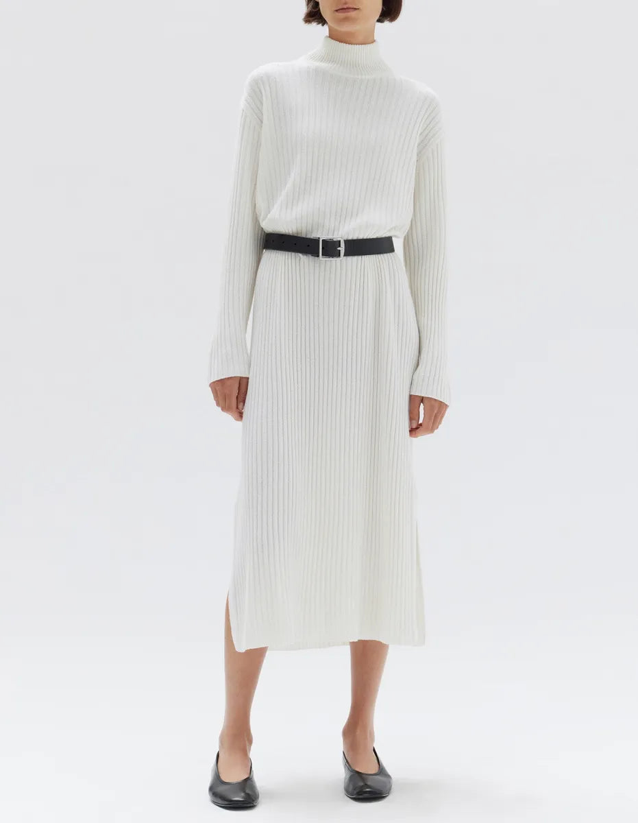 Pearl Roll Neck Knit Dress