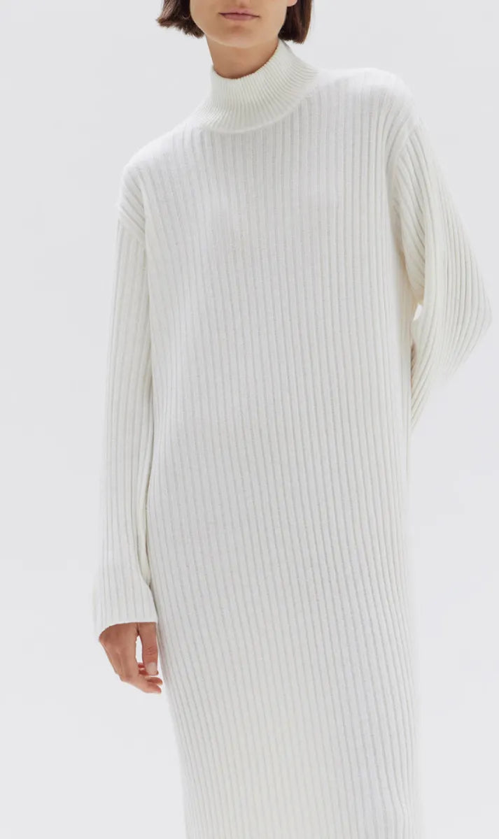 Pearl Roll Neck Knit Dress